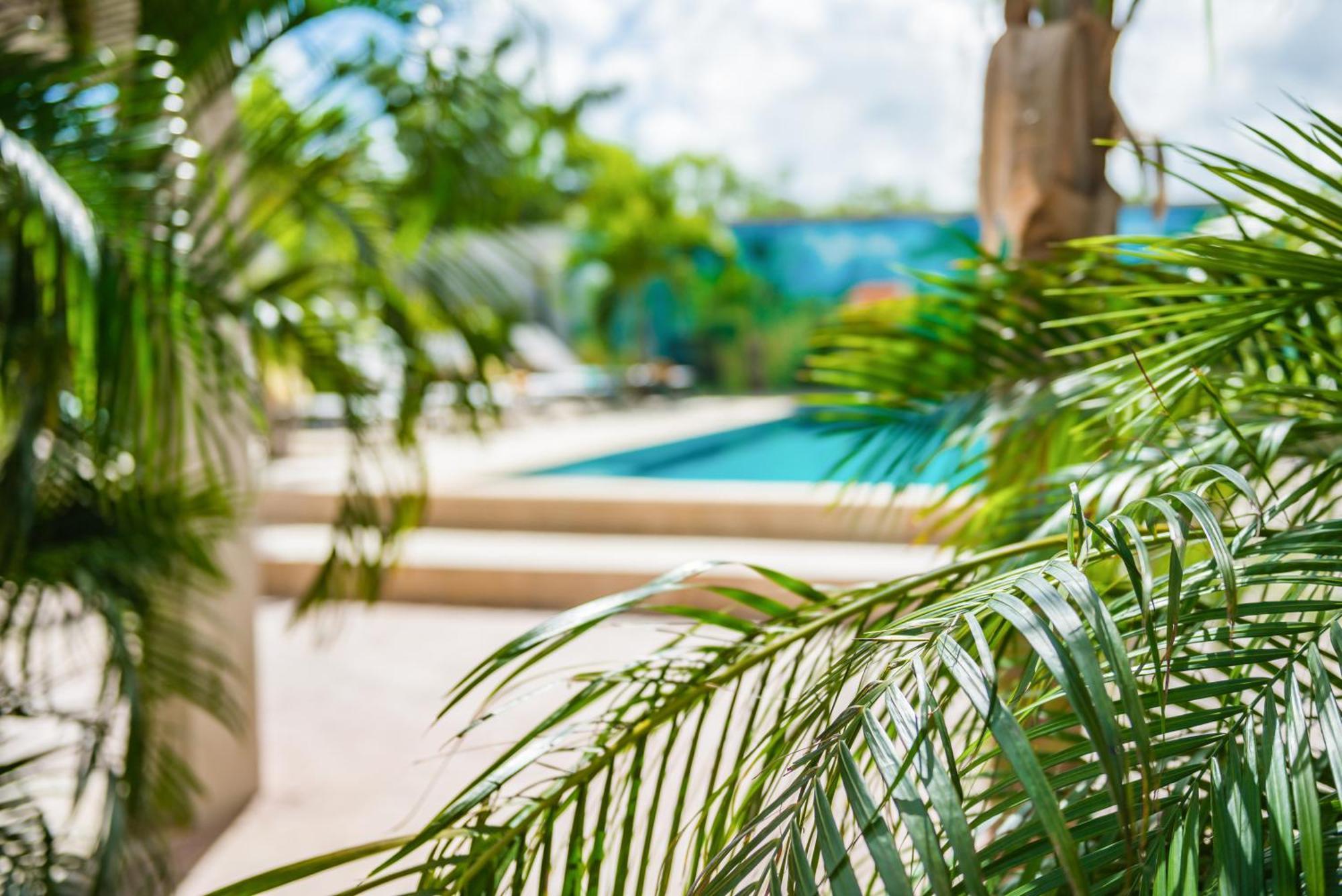 Casita Palma Boutique Resort Kralendijk  Exterior photo